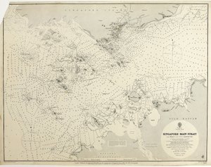 China Sea Singapore Main Strait From Tree I (pulo Angup) to Battam Bay Surveyed by Staff Commander J.W. Reed, R.N. and the officers of H.M.S. Rifleman