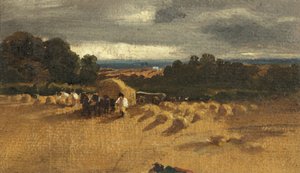 Harvesting Scene