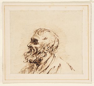 Head of a Bearded Man