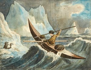 The Seal Hunt