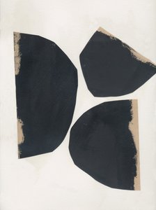 Organic Black Shapes