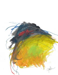 Vibrant Abstract Strokes