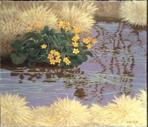 Marsh Marigolds