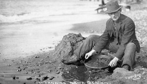 Man Panning Gold on Beach, Nome, Alaska, c.1910