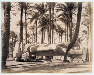 A statue of Memphis lies in a palm grove in Egypt - photograph by the Zangali brothers, late 19th century