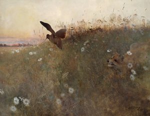 Fox and Woodcock