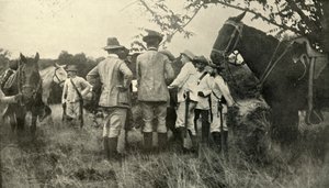General Lawton Learning from Cuban Officers...June 30th, Spanish-American War, 1898, 1899