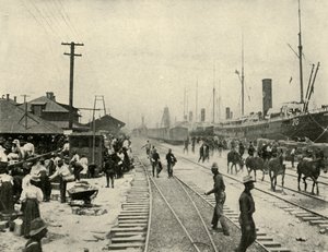 Prisoners Released, Spanish-American War