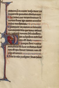 Initial D: A Jewish Man points to the Ground by Bute Master