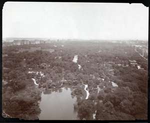 View of Central Park from the Plaza Hotel, 5th Avenue and 59th Street, New York, c.1907