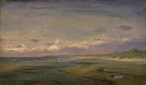 Low Beach and Sand Dunes. Cattwijk