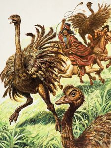 Rheas by C.L. Doughty
