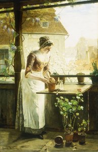 Woman Potting Flowers