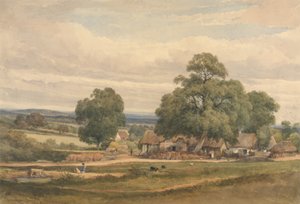 Emerey Down near Lyndhurst, New Forest, Hants