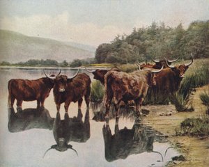 Scotland