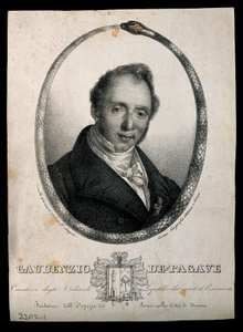 Gaudenzio de Pagave