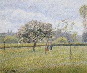 Apple Tree in Flower at Eragny