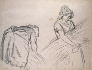 Study of Two Female Harvesters