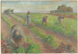 The Beet Harvest (La Récolte des Betteraves), 1881