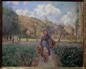 In the Vegetable Garden