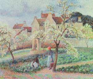 Plum Trees in Flower
