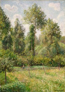 Poplars, Éragny