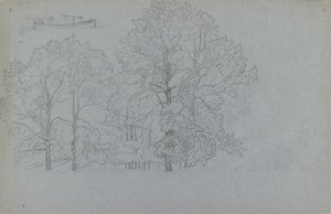Study of trees, with a slight study of a barge, 1859 by Camille Pissarro