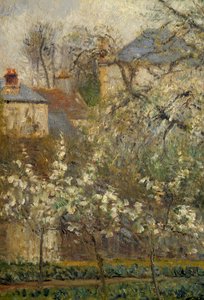 Vegetable garden and trees in bloom in spring in Pontoise by Camille Jacob Pissarro