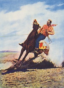 Cowboy bringing his horse to a rapid stop