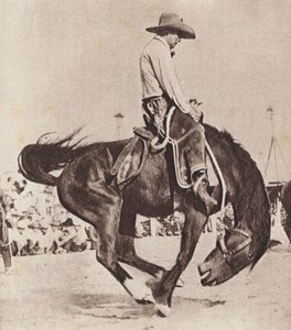 Cowboy riding a bucking bronco
