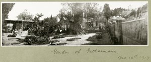 Garden of Gethsemane, 14th December 1917 by Capt. Arthur Rhodes