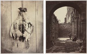 Partridges (recto); L.D. Campbell