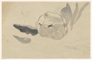 Flower Study by Carel Adolph Lion Cachet