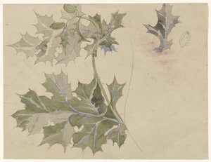Thistle Leaves by Carel Adolph Lion Cachet