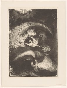 Dove in Storm