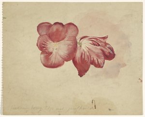 Two Red Tulips by Carel Adolph Lion Cachet