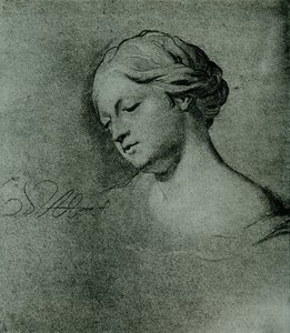 Female Head Study