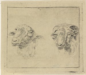 Head of a Ram and Head of a Sheep by Carel Webbers