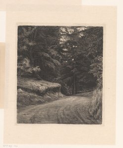 Forest Road