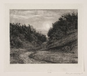 A Moonlit Summer Evening