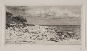 Rocky Shore