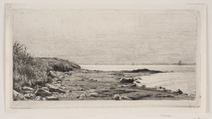 Beach Scene. Sunshine in the Sea
