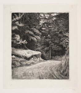 The Road in the Pine Forest