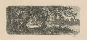 Water Elms by Carl C. Brenner