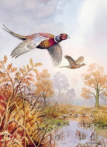 Over the Fen by Carl Donner