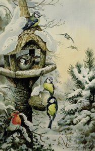 Winter Bird Table with Blue Tits, Great Tits, House Sparrows and a Robin