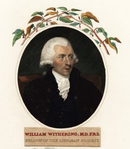 Portrait of William Withering, Physician and Botanist by Carl Frederik van (after) Breda