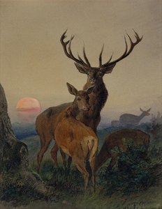 A Stag with a Deer in a Wooded Landscape at Sunset by Carl Friedrich Deiker