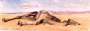 A Dead Camel