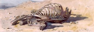 The Bones of a Camel, Suez